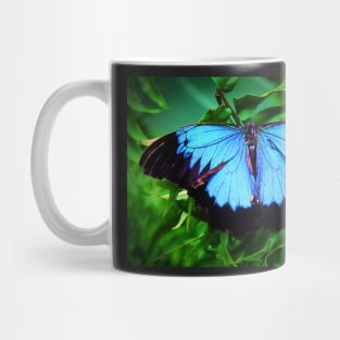 Monarch Butterfly of the Tropics Mug